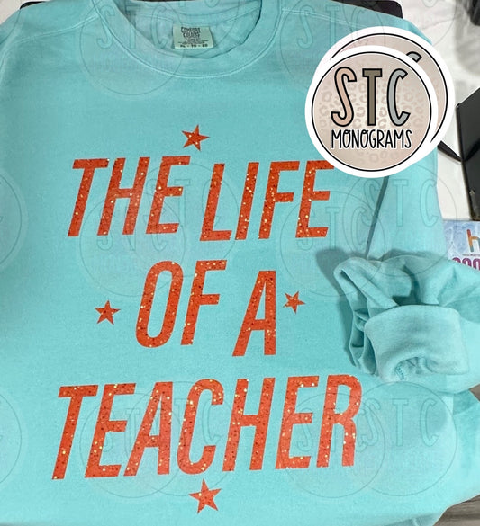 LIFE OF A TEACHER
