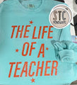 LIFE OF A TEACHER