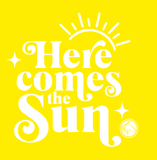 Here Comes The Sun Tee Goddard TODDLER