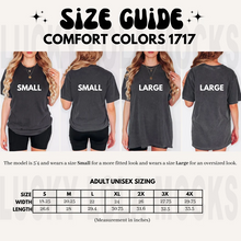 Load image into Gallery viewer, *C1717 Comfort Colors Adult Heavyweight T-Shirt VIEW ONLY
